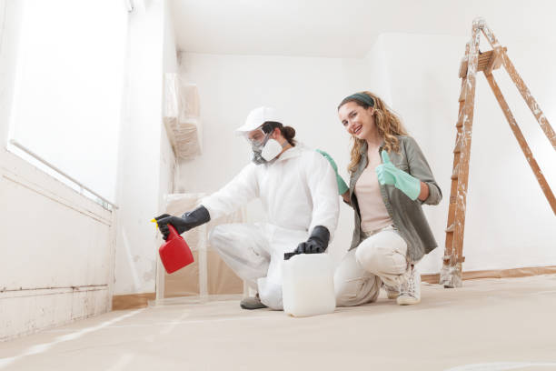 Best Mold Prevention Services  in Timber Pines, FL